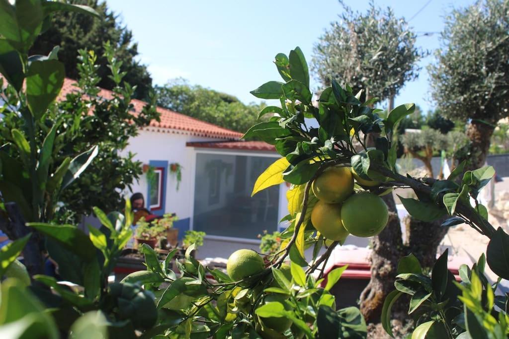 Casa Manuel E Maria Villa Fátima Eksteriør bilde